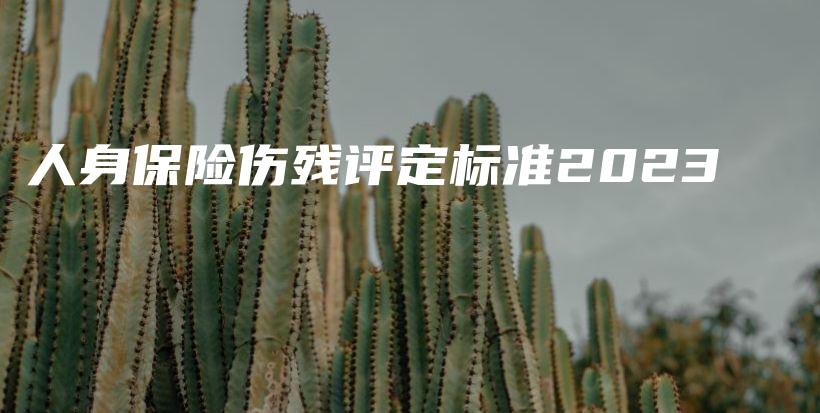 人身保险伤残评定标准2023-保点通