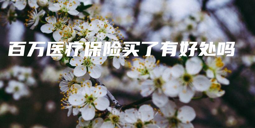 百万医疗保险买了有好处吗-保点通