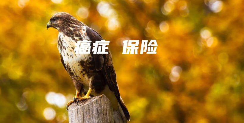 癌症 保险-保点通