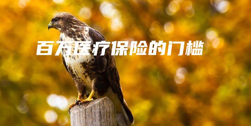 百万医疗保险的门槛-保点通