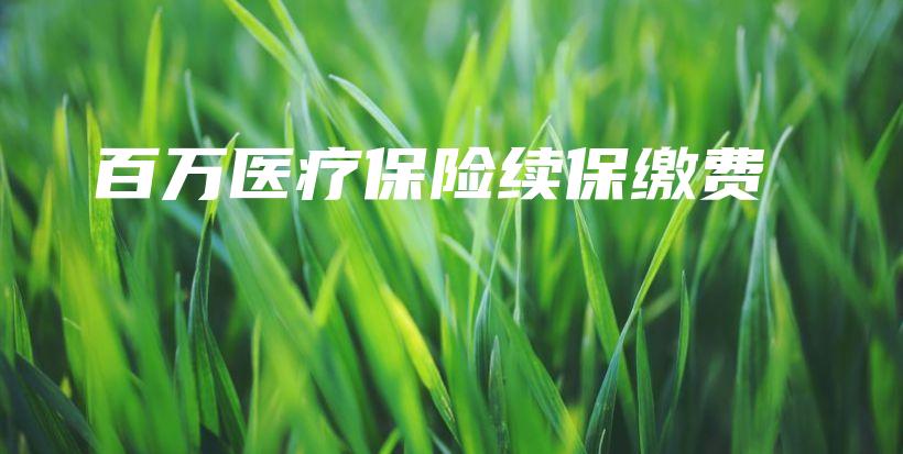 百万医疗保险续保缴费-保点通