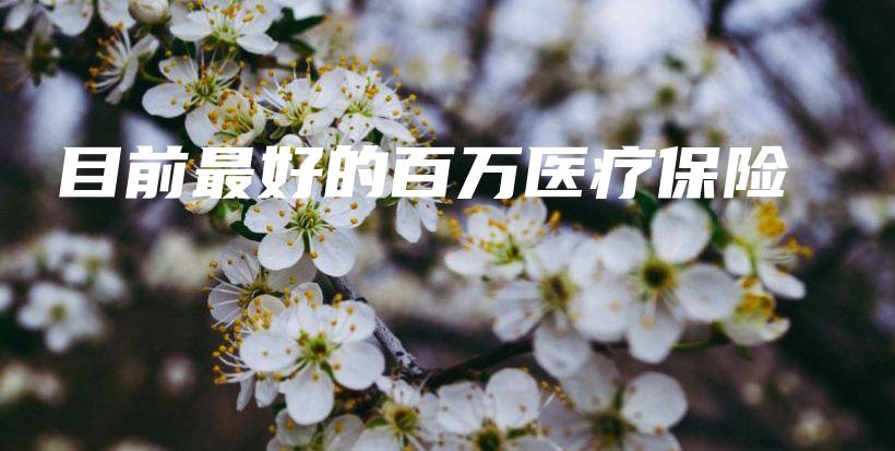目前最好的百万医疗保险-保点通