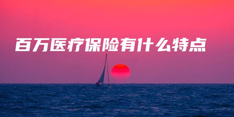 百万医疗保险有什么特点-保点通
