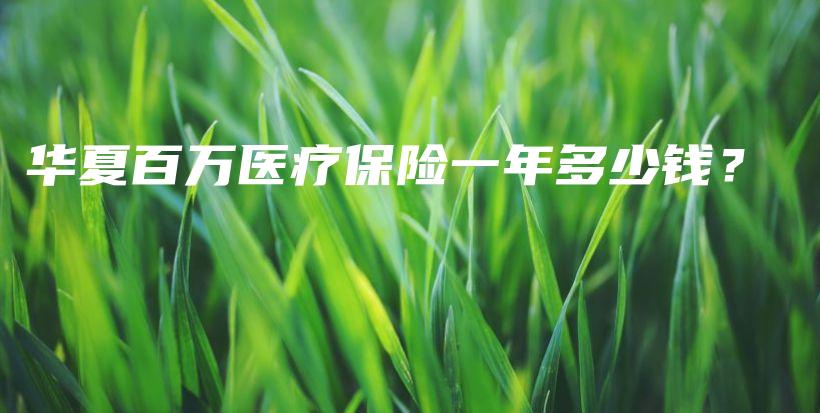 华夏百万医疗保险一年多少钱？-保点通