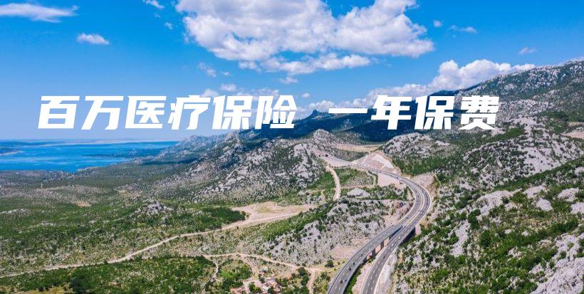 百万医疗保险 一年保费-保点通