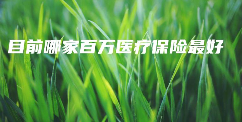目前哪家百万医疗保险最好-保点通