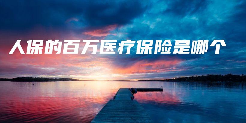 人保的百万医疗保险是哪个-保点通