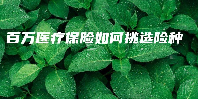 百万医疗保险如何挑选险种-保点通
