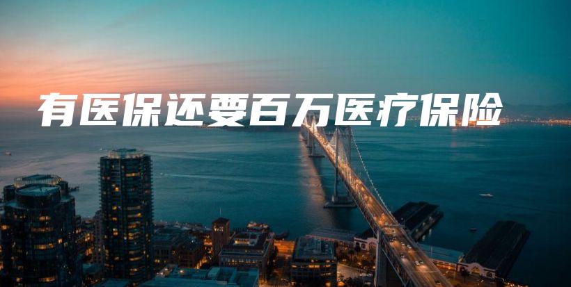 有医保还要百万医疗保险-保点通
