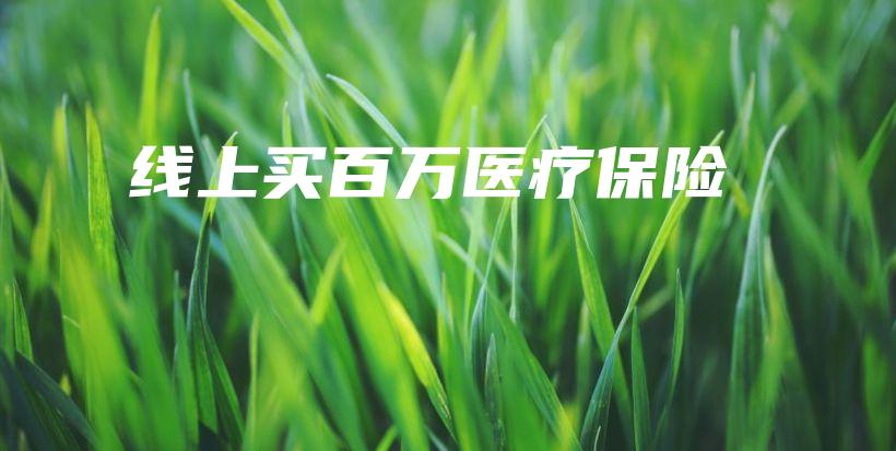 线上买百万医疗保险-保点通