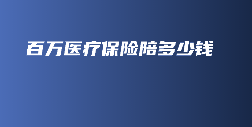 百万医疗保险陪多少钱-保点通