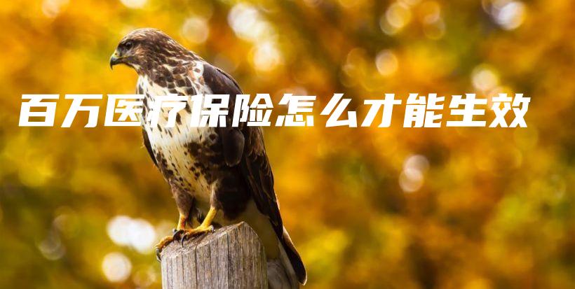 百万医疗保险怎么才能生效-保点通
