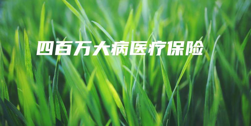 四百万大病医疗保险-保点通