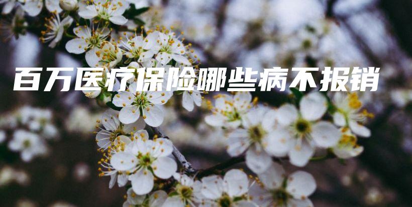 百万医疗保险哪些病不报销-保点通