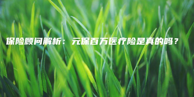 保险顾问解析：元保百万医疗险是真的吗？-保点通