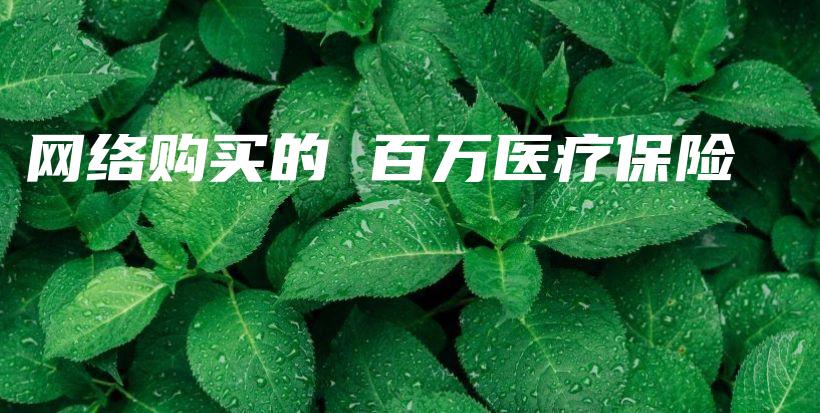 网络购买的 百万医疗保险-保点通