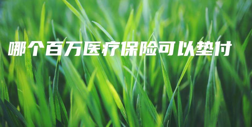 哪个百万医疗保险可以垫付-保点通