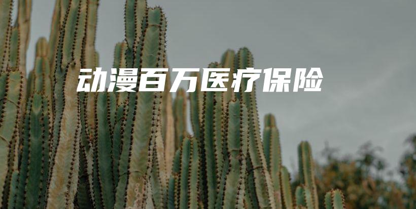 动漫百万医疗保险-保点通
