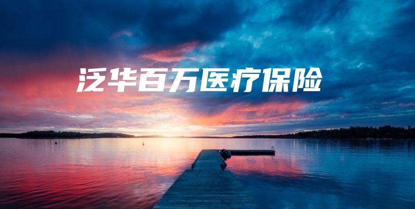 泛华百万医疗保险-保点通