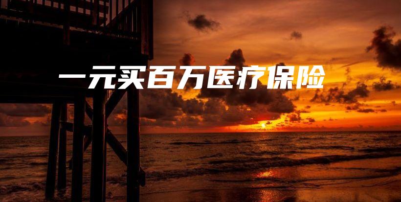 一元买百万医疗保险-保点通
