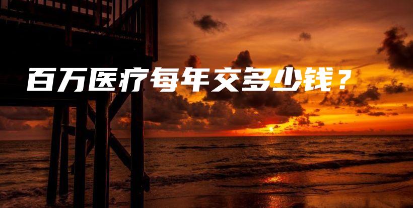 百万医疗每年交多少钱？-保点通
