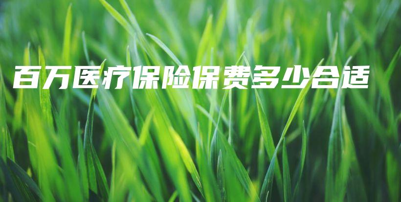 百万医疗保险保费多少合适-保点通