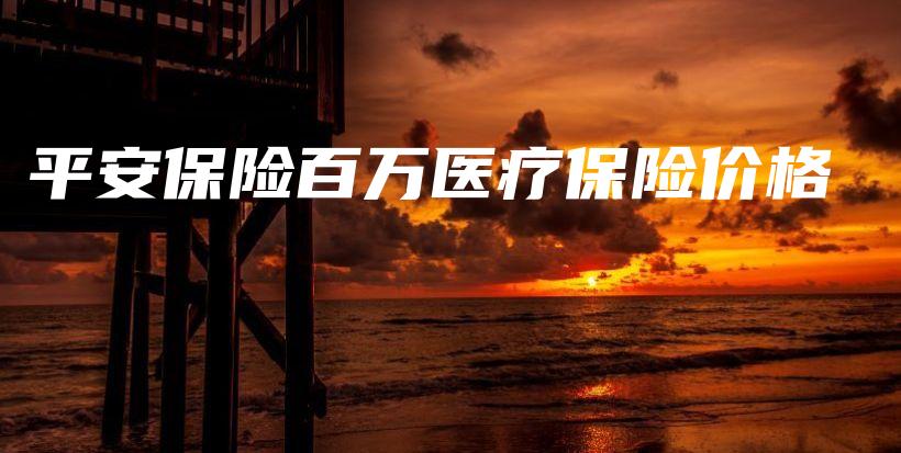 平安保险百万医疗保险价格-保点通