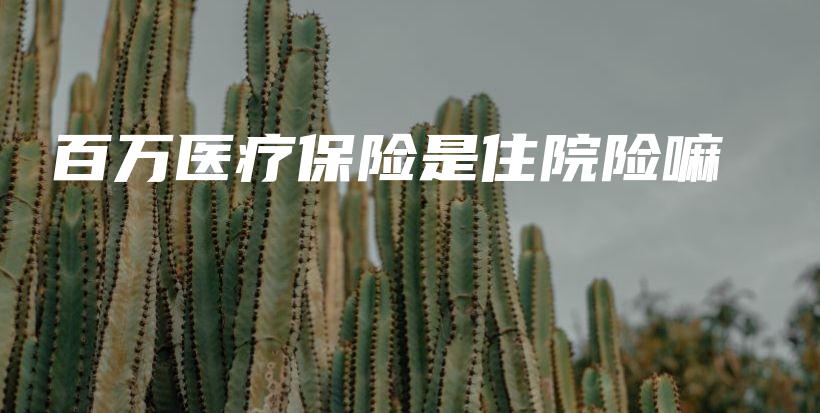 百万医疗保险是住院险嘛-保点通