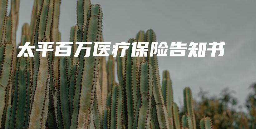 太平百万医疗保险告知书-保点通