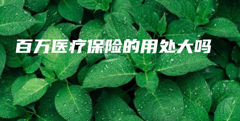 百万医疗保险的用处大吗-保点通