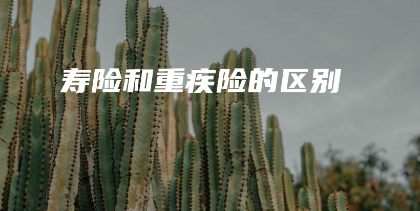 寿险和重疾险的区别-保点通
