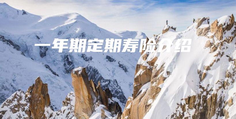 一年期定期寿险介绍-保点通