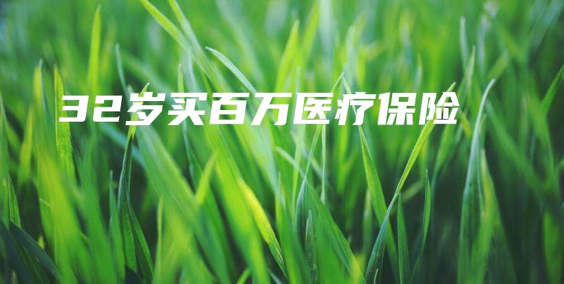 32岁买百万医疗保险-保点通
