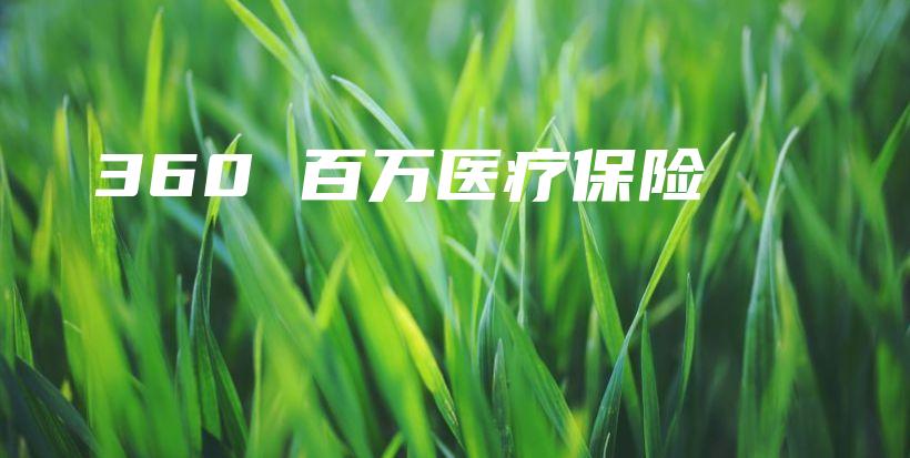 360 百万医疗保险-保点通
