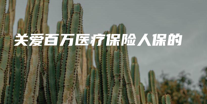 关爱百万医疗保险人保的-保点通