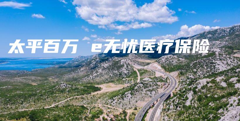 太平百万 e无忧医疗保险-保点通