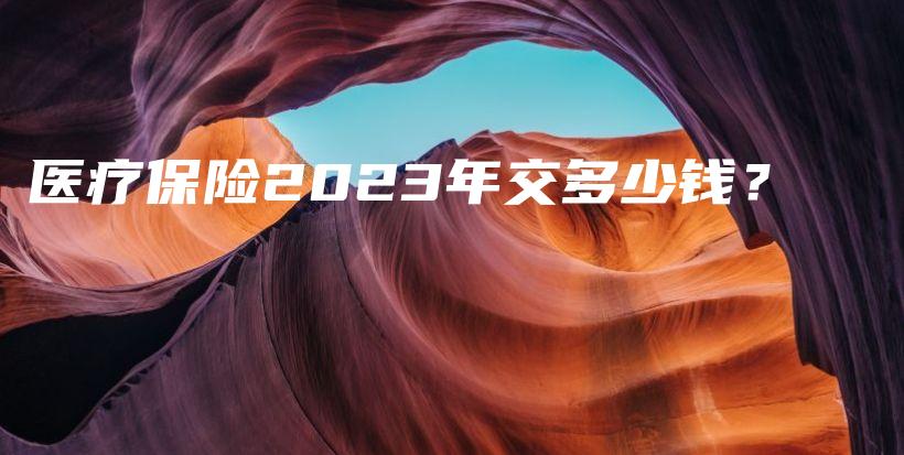 医疗保险2023年交多少钱？-保点通