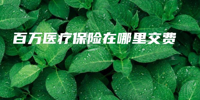 百万医疗保险在哪里交费-保点通