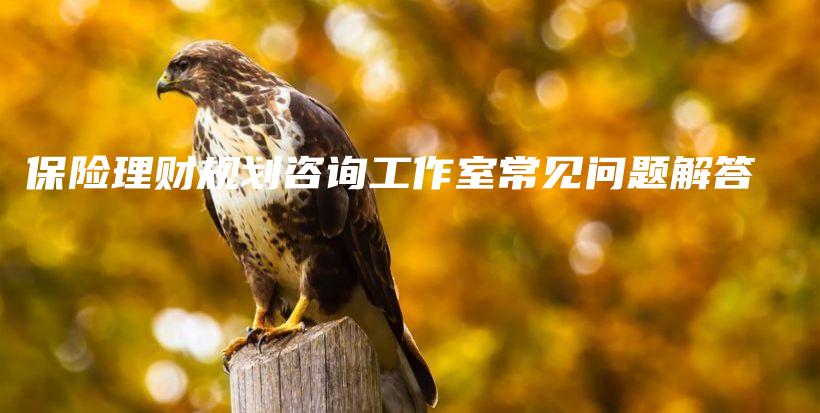 保险理财规划咨询工作室常见问题解答-保点通