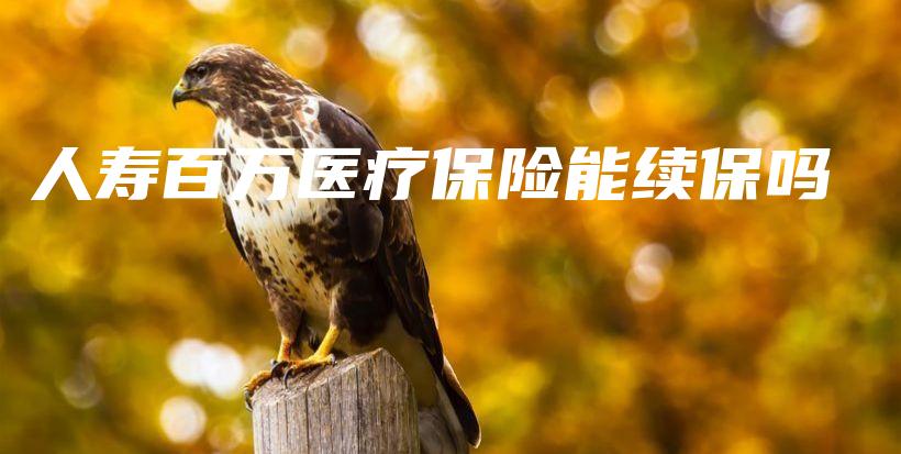 人寿百万医疗保险能续保吗-保点通