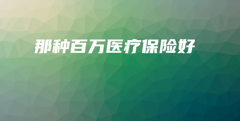 那种百万医疗保险好-保点通