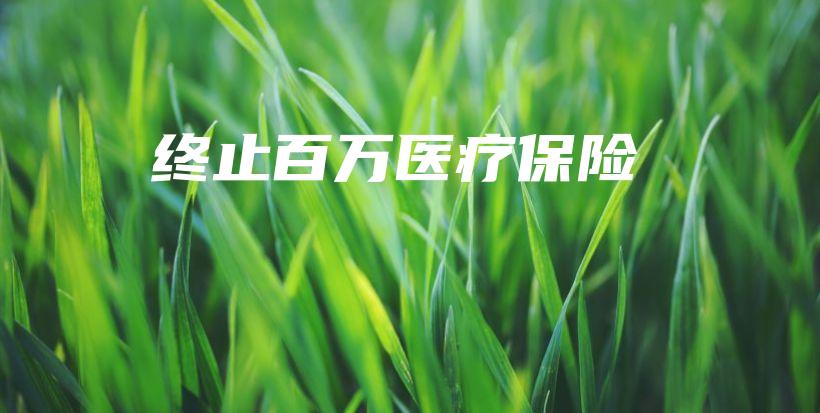 终止百万医疗保险-保点通