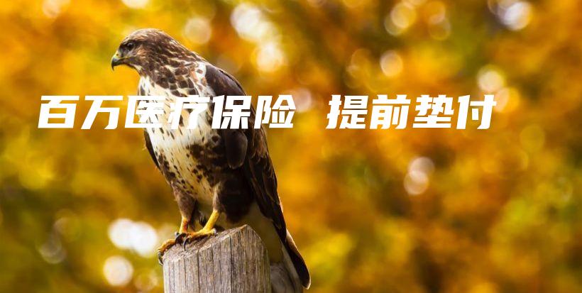 百万医疗保险 提前垫付-保点通