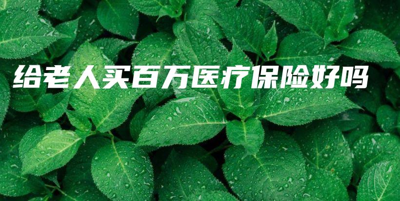 给老人买百万医疗保险好吗-保点通