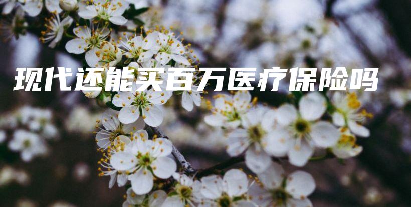 现代还能买百万医疗保险吗-保点通