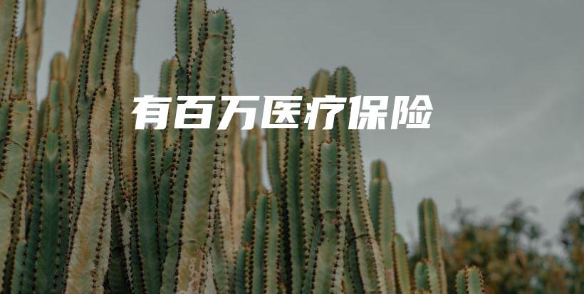有百万医疗保险-保点通