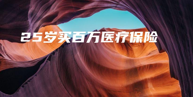 25岁买百万医疗保险-保点通