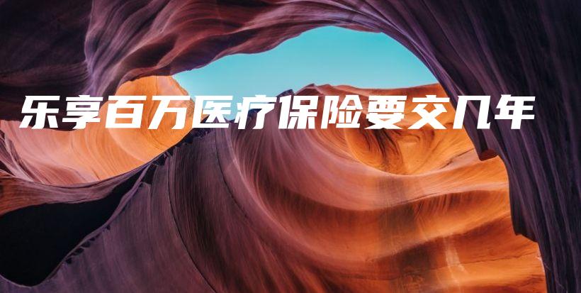 乐享百万医疗保险要交几年-保点通