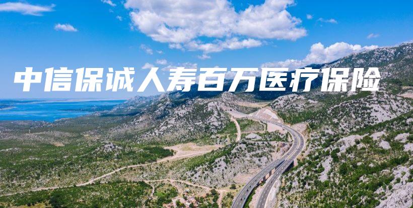 中信保诚人寿百万医疗保险-保点通