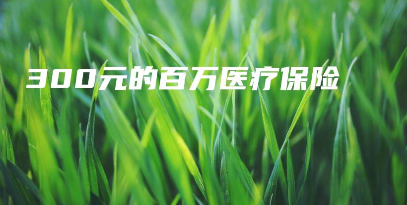 300元的百万医疗保险-保点通